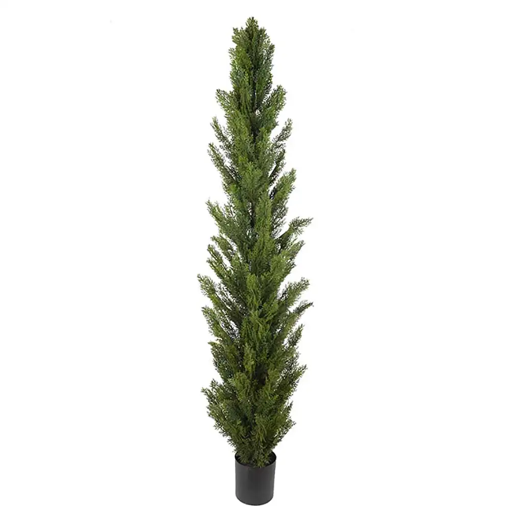 Mr Plant Cypressträd 90 cm