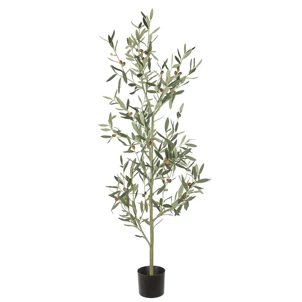 Mr Plant Olivträd 140 cm Grön