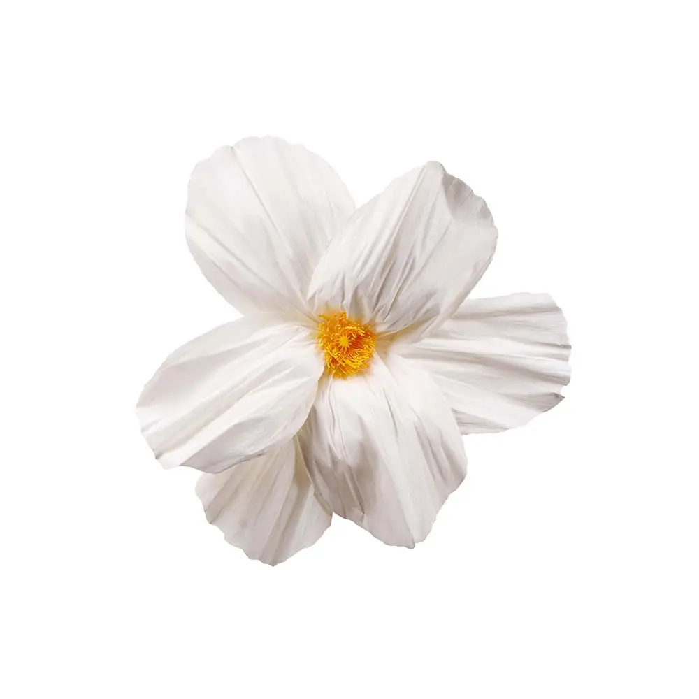 Mr Plant, Blomma Ester vägg Ø80 cm cream