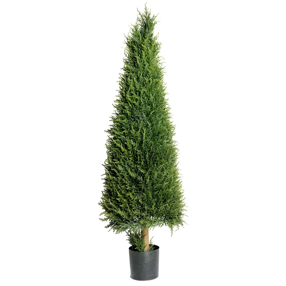 Mr Plant Enträd 165 cm