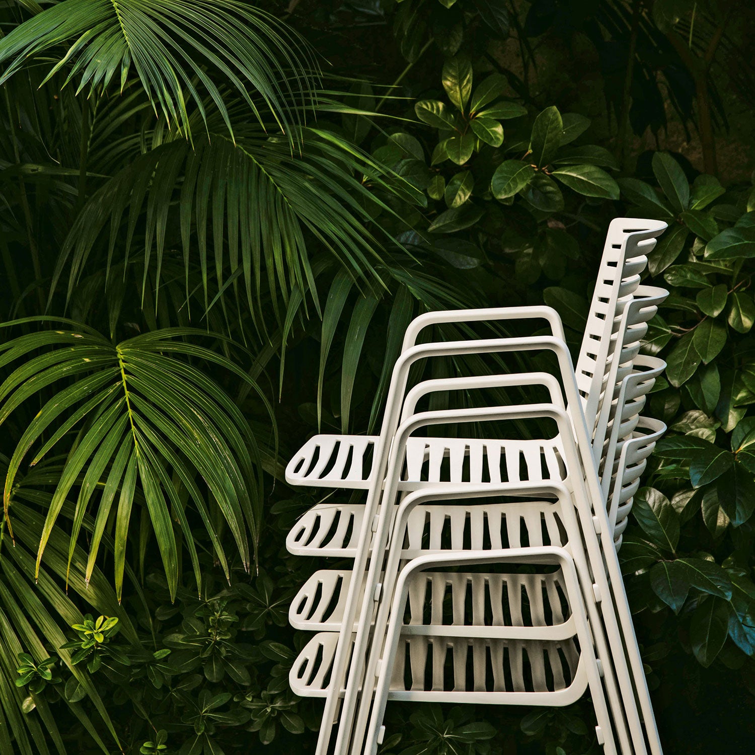 Zebra karmstol Pearly Gold