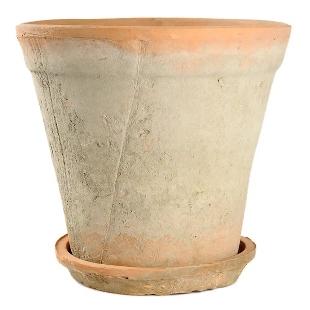 Mr Plant, Lerkruka 28 cm