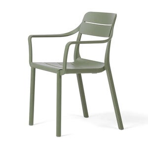 Cassia karmstol Cactus 