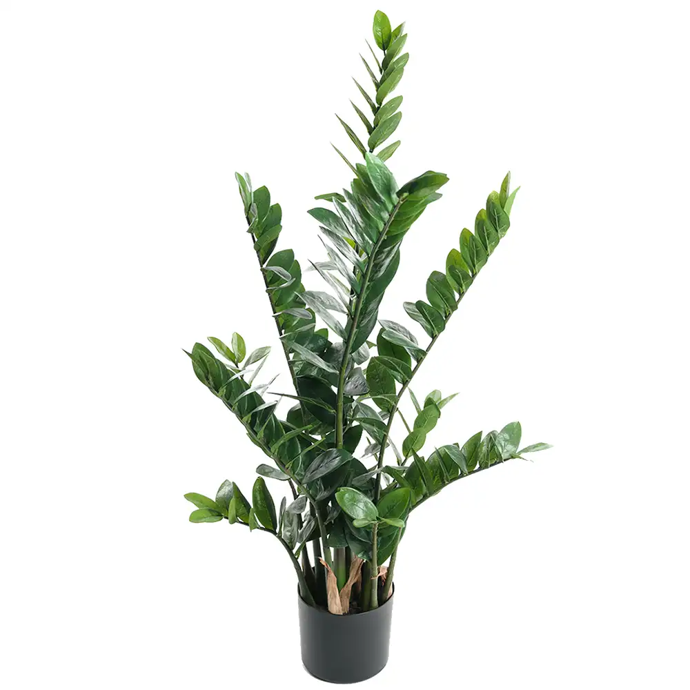 Alternativ bild 1 för Mr Plant, Zamifolia Krukväxt 130 cm