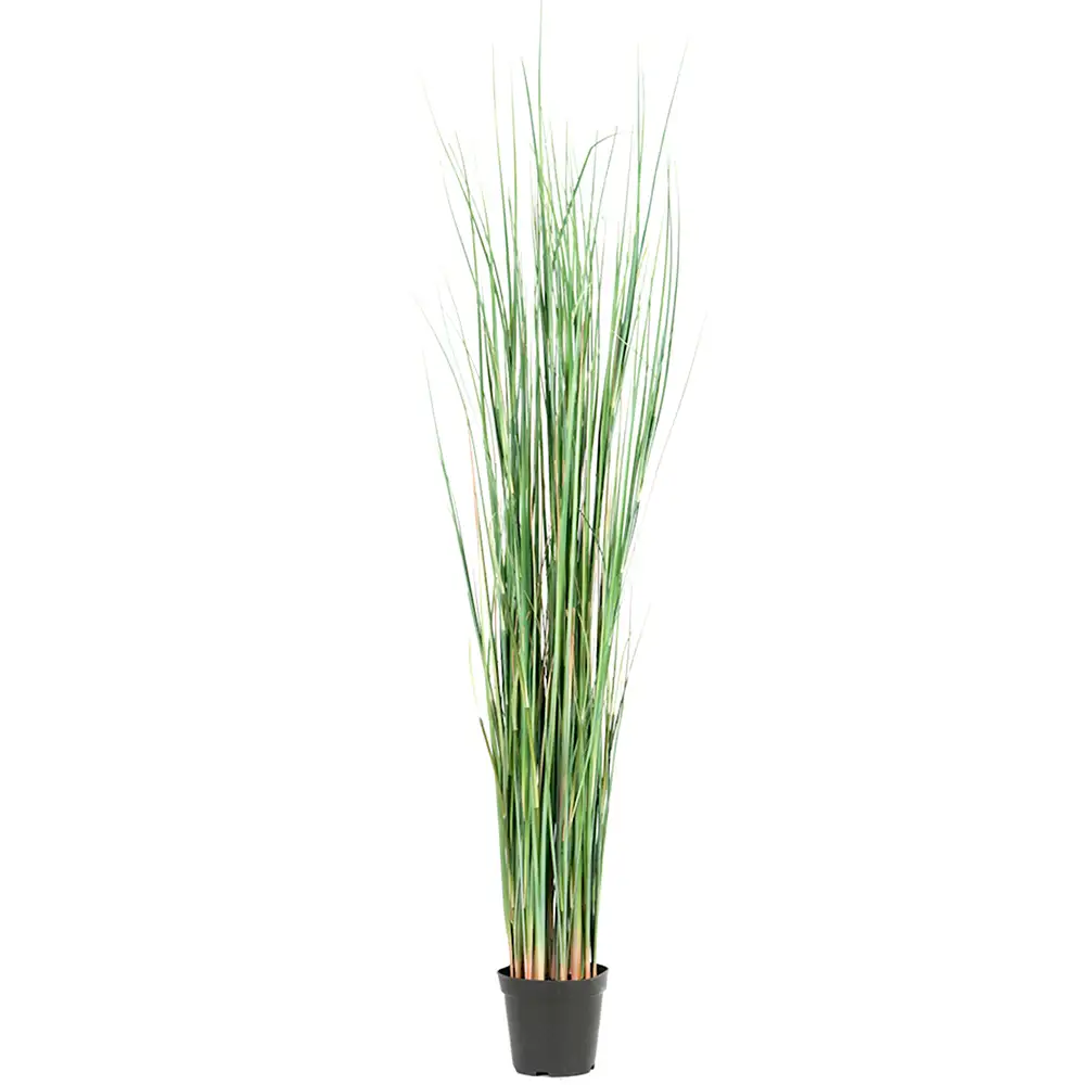 Mr Plant Gräs 130 cm