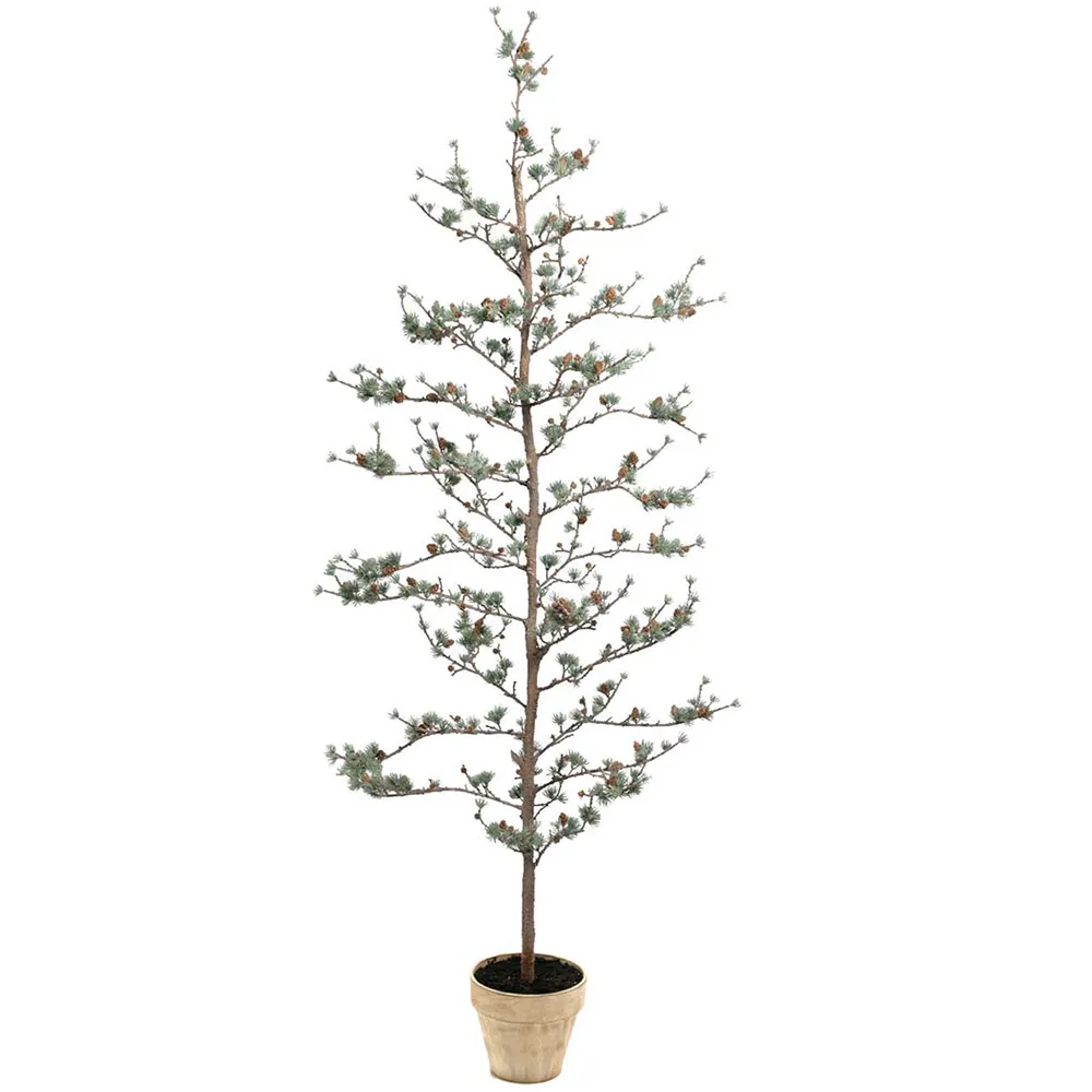 Mr Plant Lärkträd 180 cm