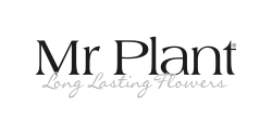 Mr Plant