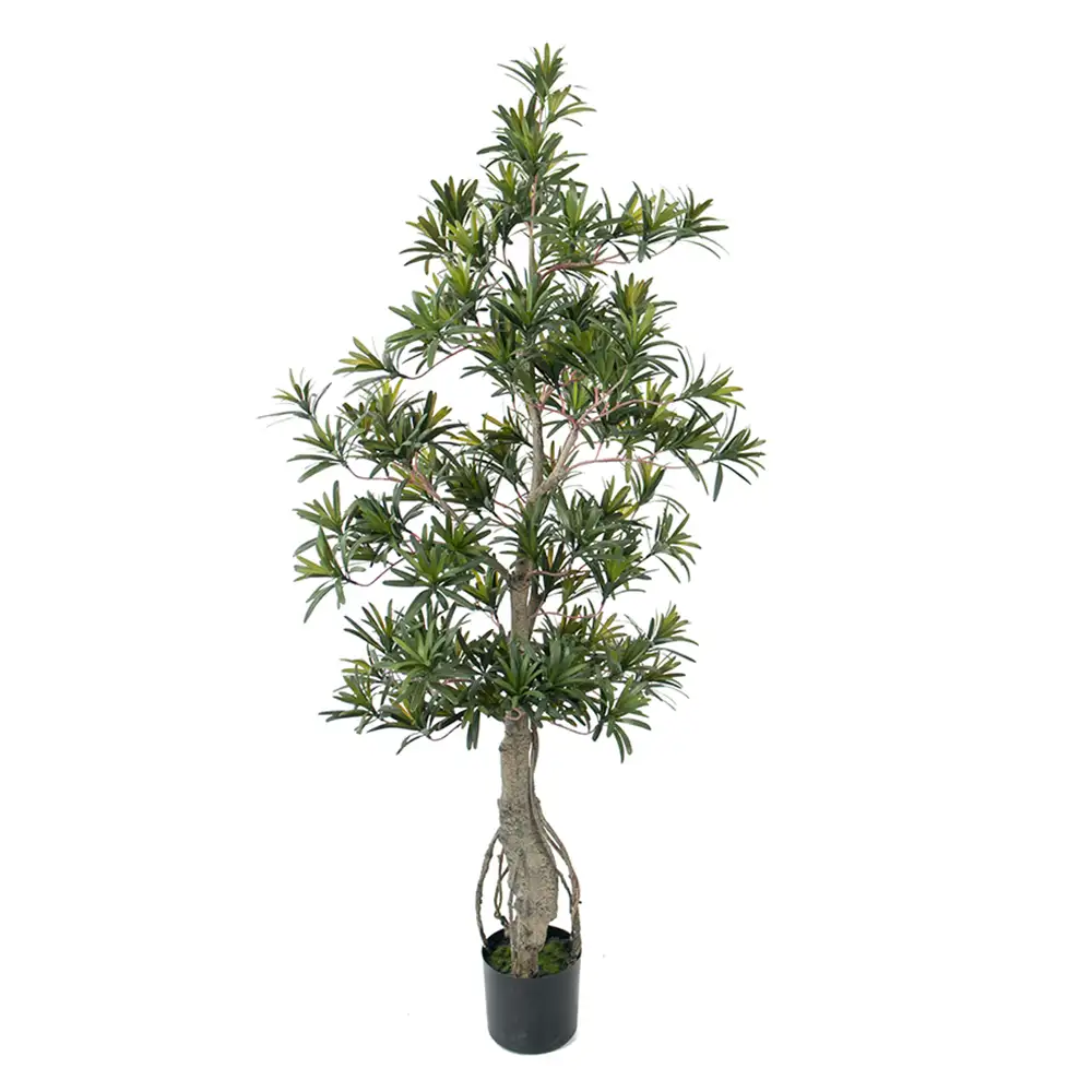 Mr Plant Podocarpusträd 120 cm