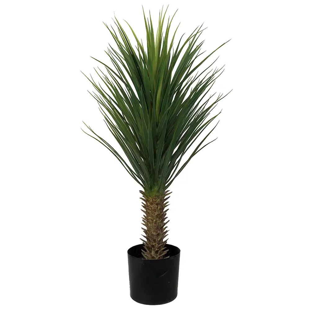 Mr Plant Yucca Rostrataträd 100 cm