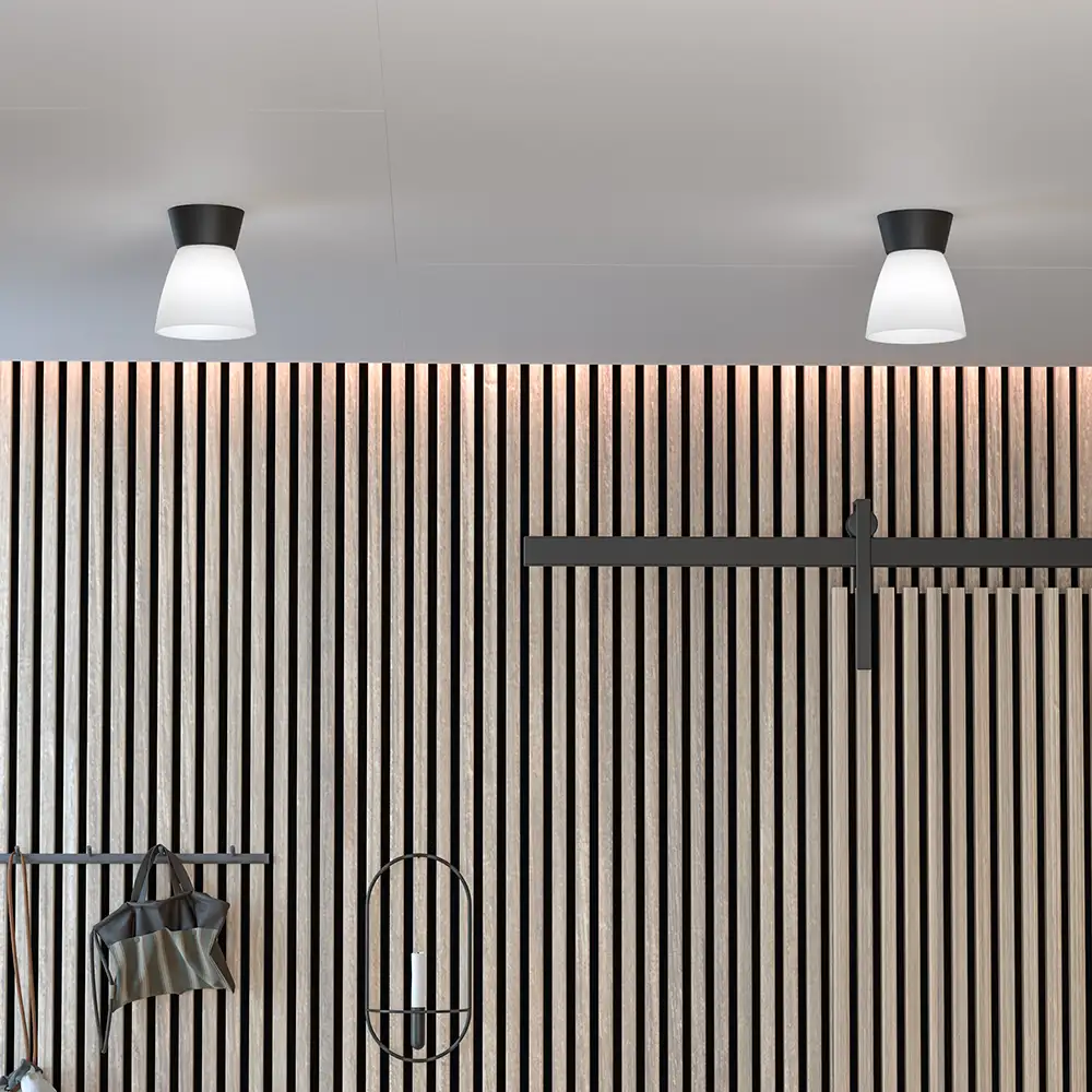 Bizzo plafond D165 mattsvart/opalglas E27 