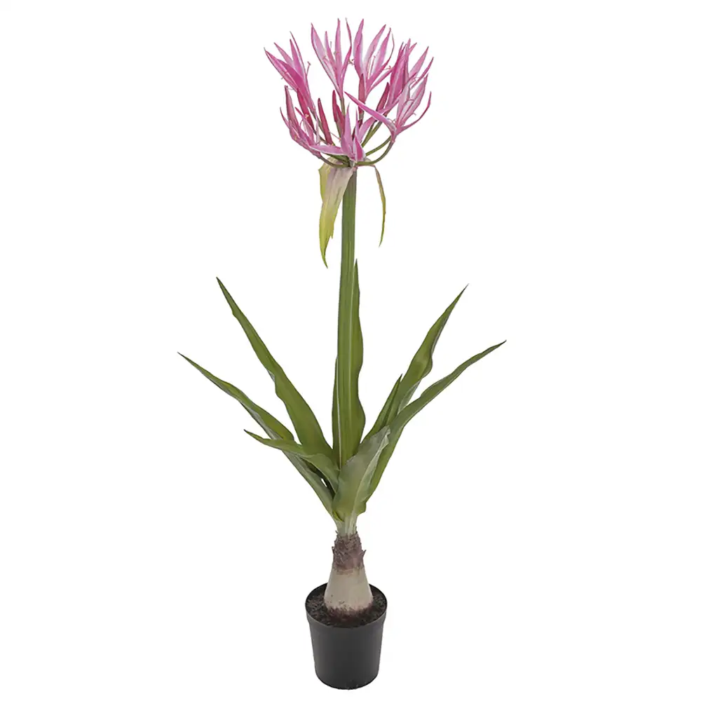 Mr Plant Nerine Krukväxt 125 cm Rosa