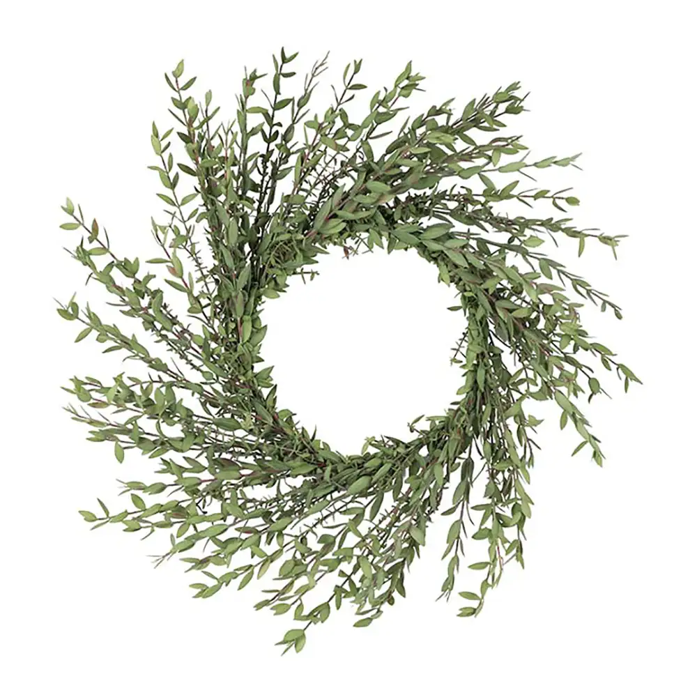 Mr Plant, Eucalyptus krans 55 cm