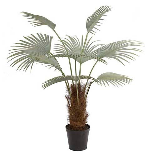 Palm 150 cm Grå 
