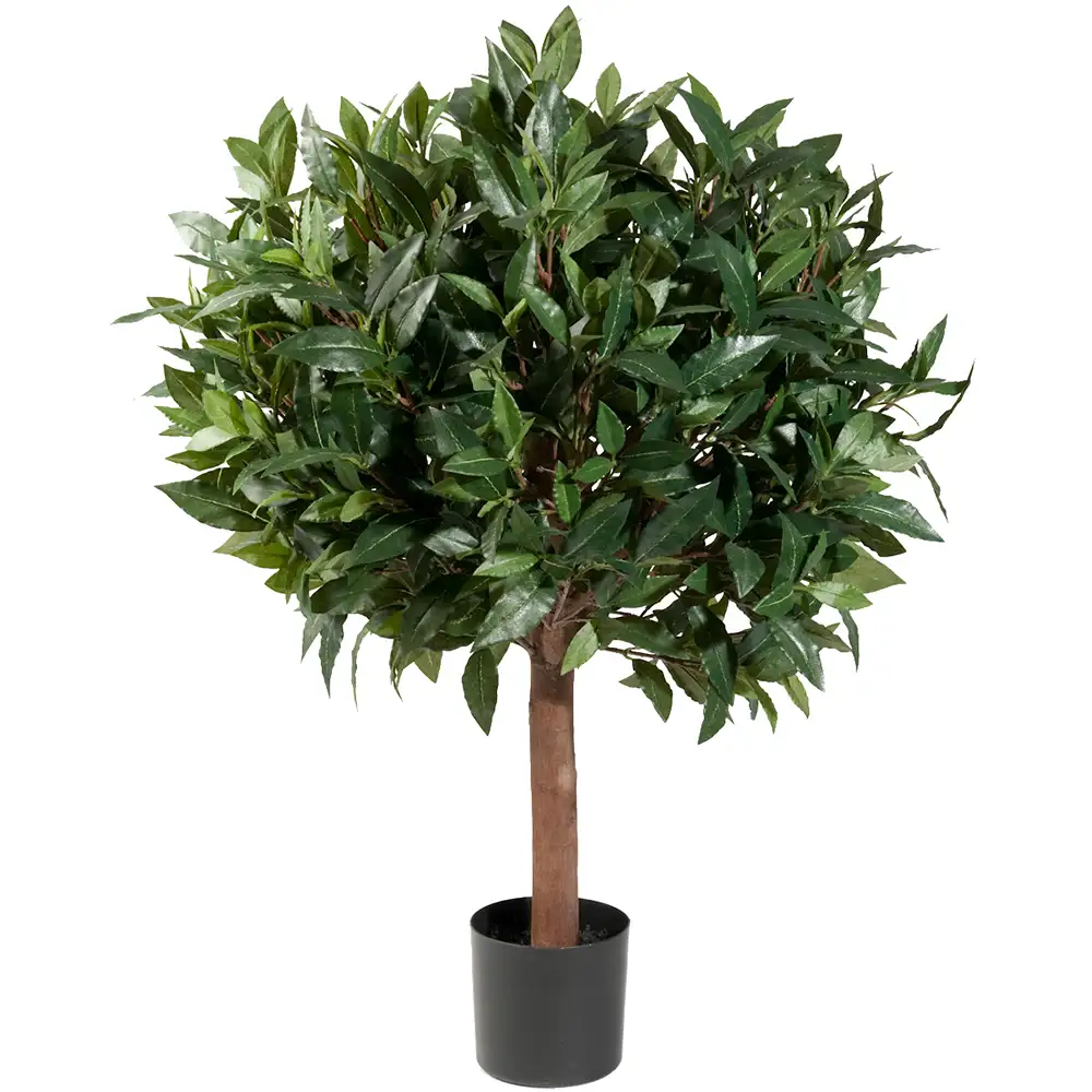 Mr Plant Lagerträd 80 cm