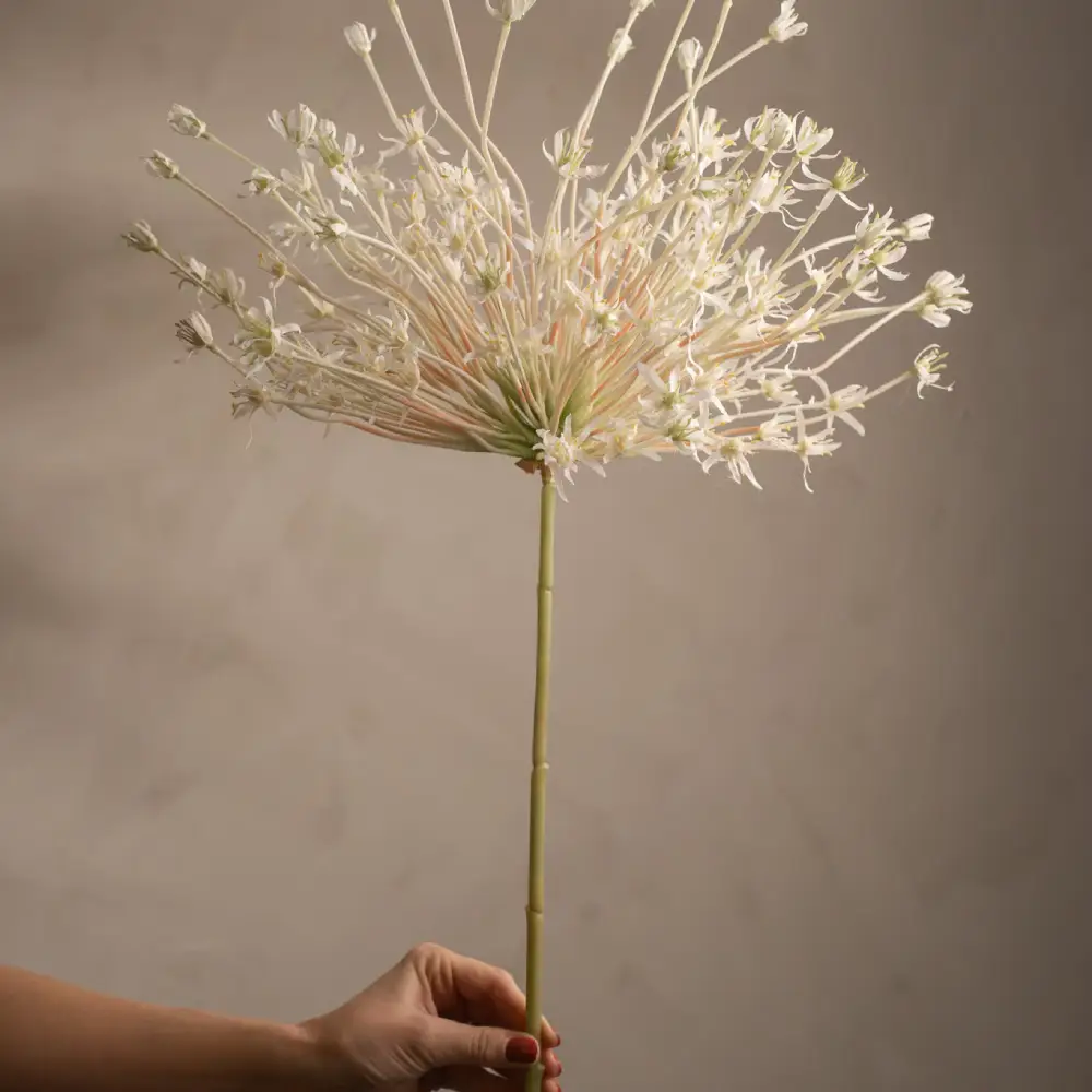 Allium Vit 125 cm