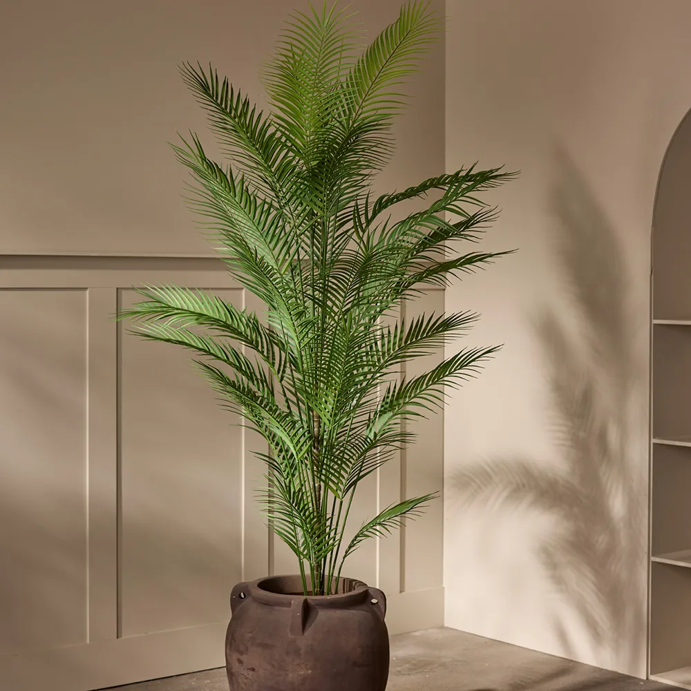 Areca Palm 120 cm 