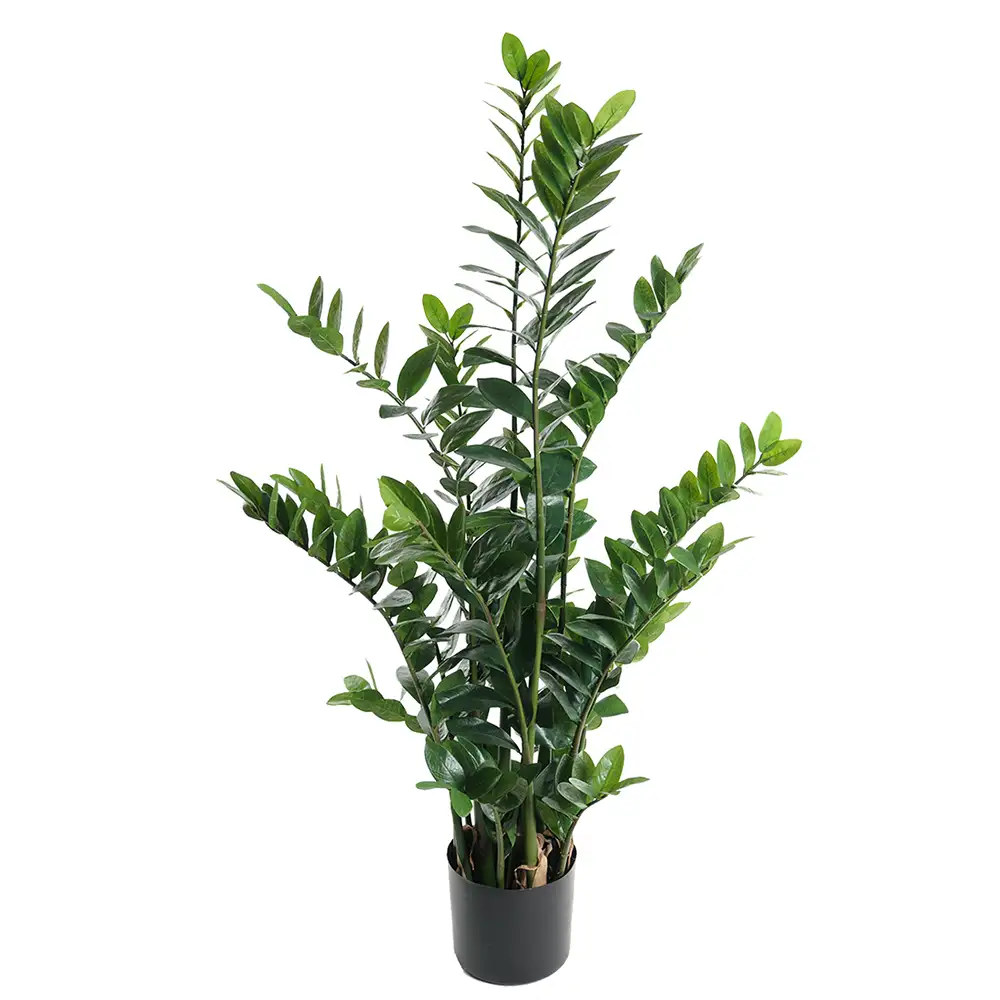 Mr Plant Zamifolia Krukväxt 130 cm