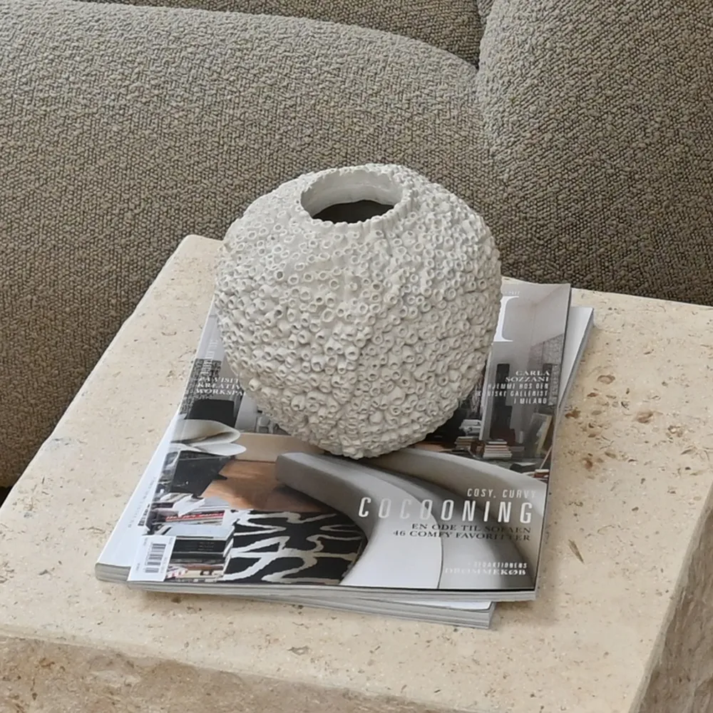 Sunao vas Petit - Beehive