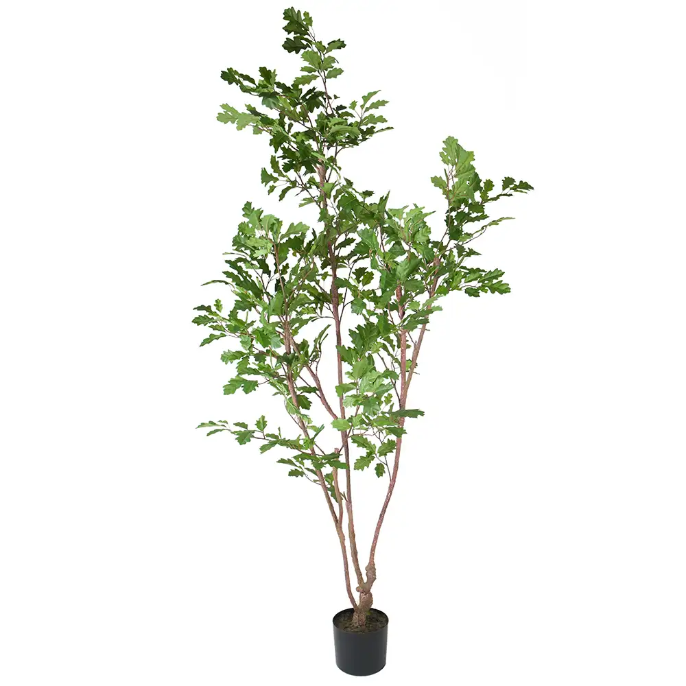Mr Plant Ekträd 170 cm