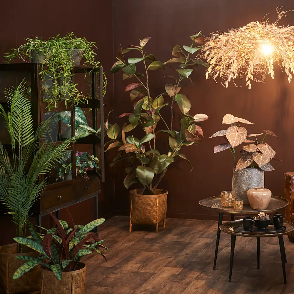 Alternativ bild 1 för Mr Plant, Areca Palm 210 cm