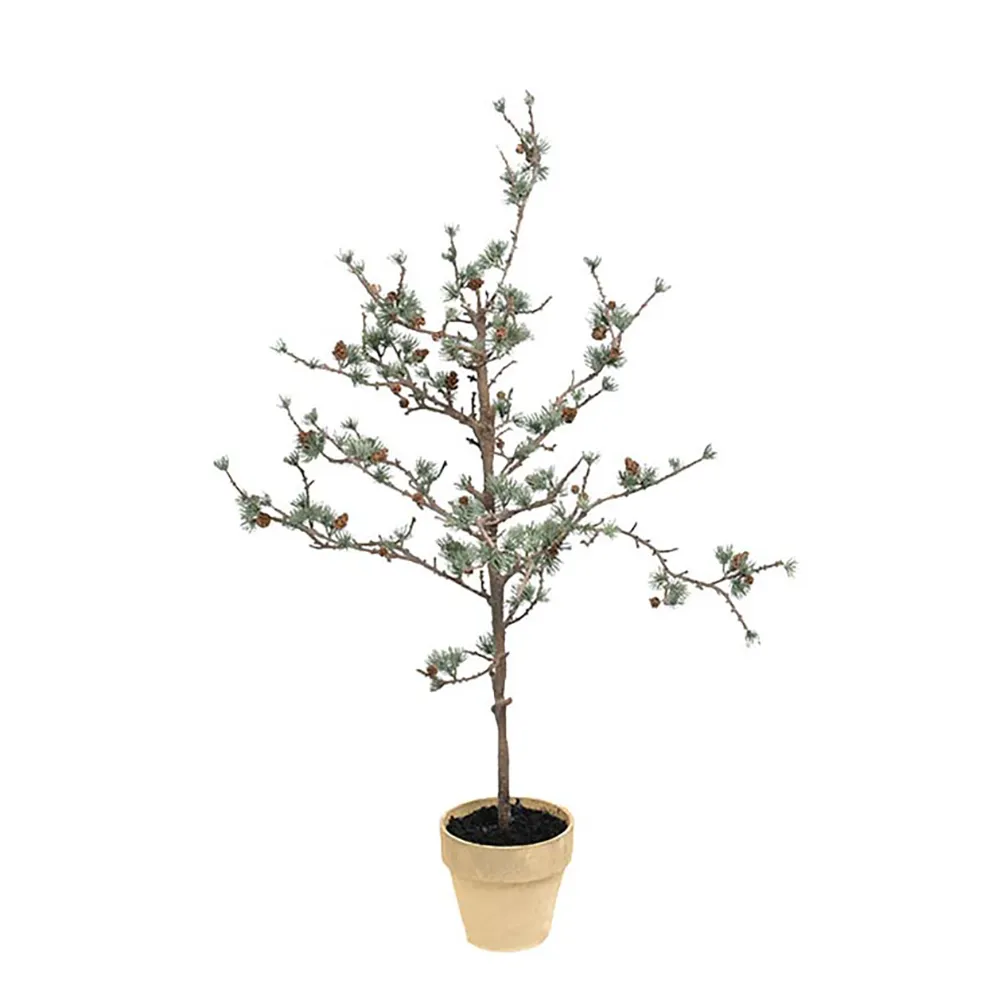 Mr Plant Lärkträd 100 cm