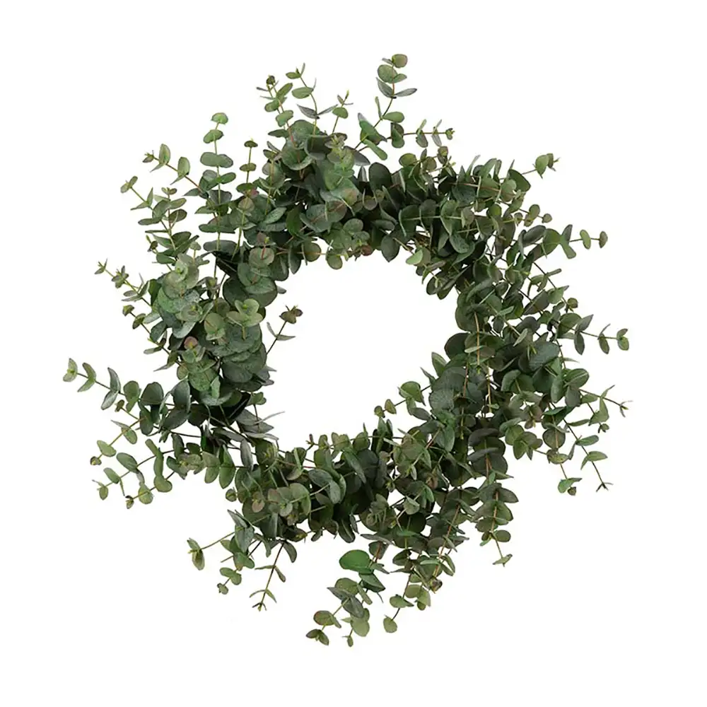 Mr Plant, Eucalyptus krans 75 cm