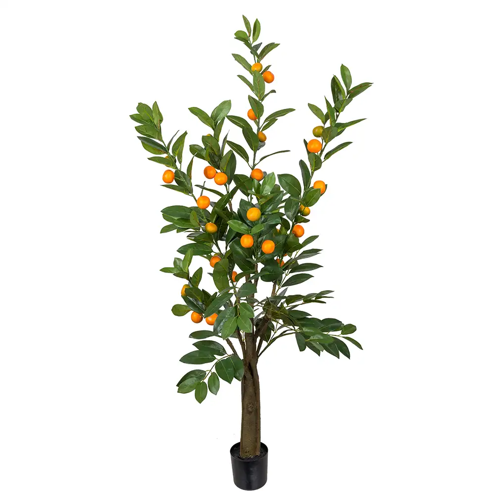 Mr Plant Citrusträd 150 cm