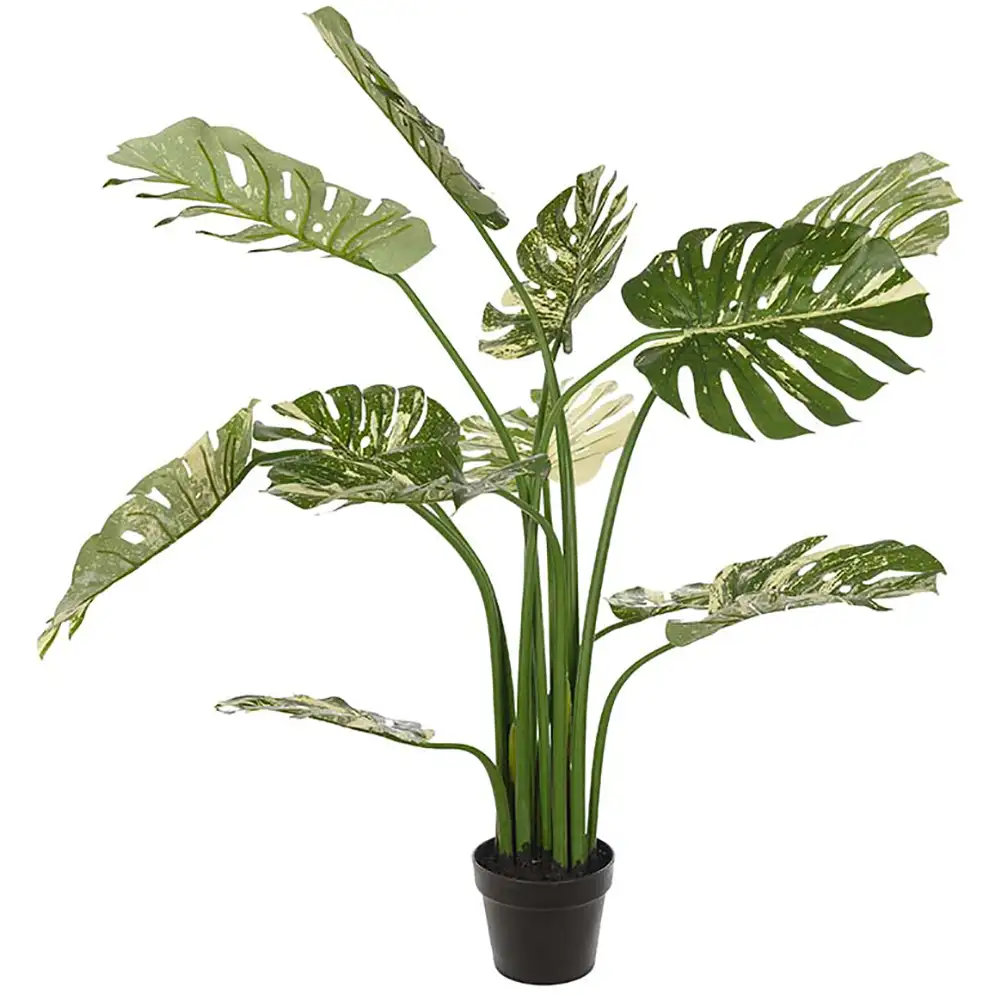 Monstera 110 cm Grön 