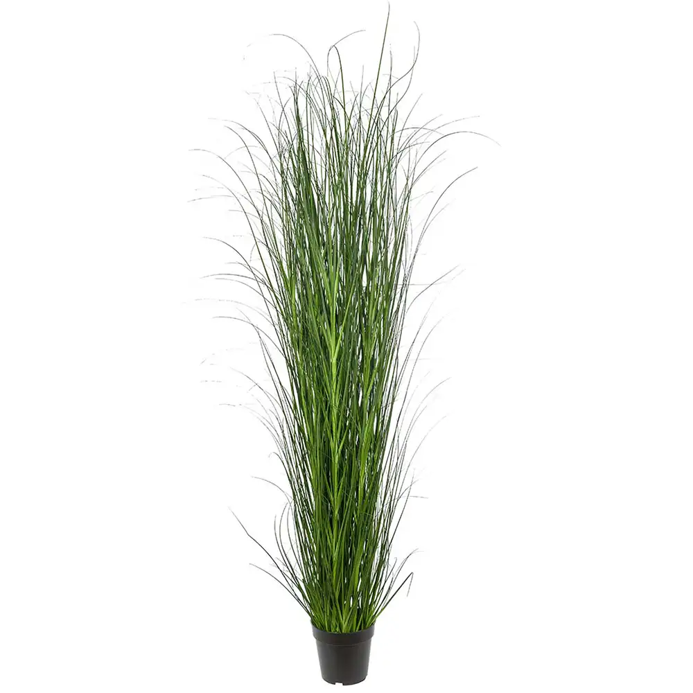 Mr Plant Gräs 170 cm