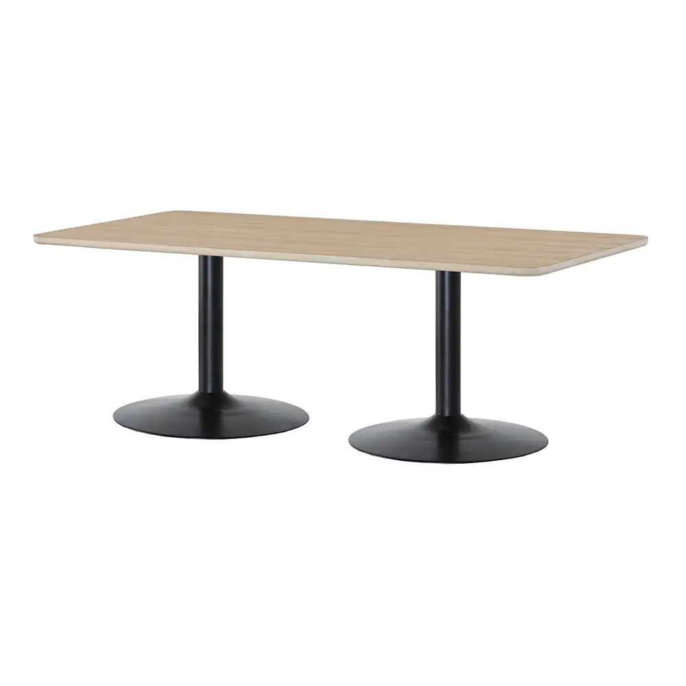 Davis matbord 100x210 cm vitoljad ek