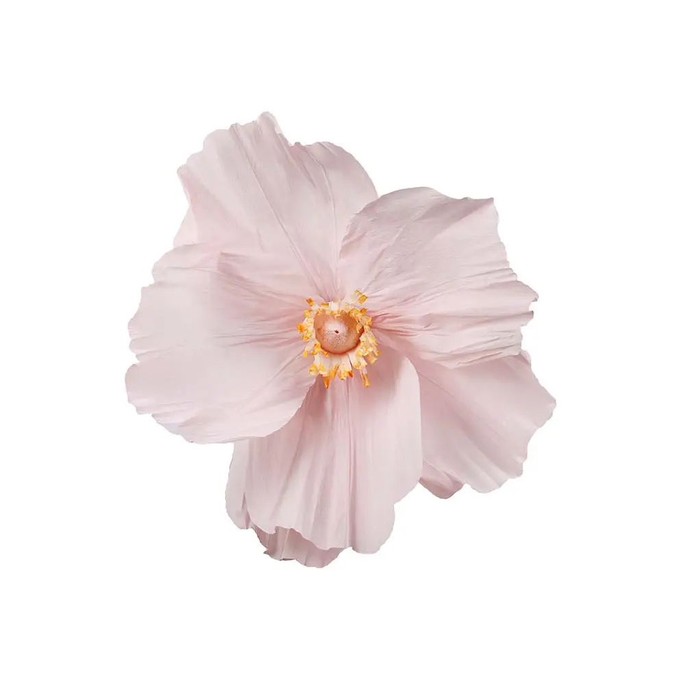 Mr Plant, Blomma Alice vägg Ø80 cm rosa