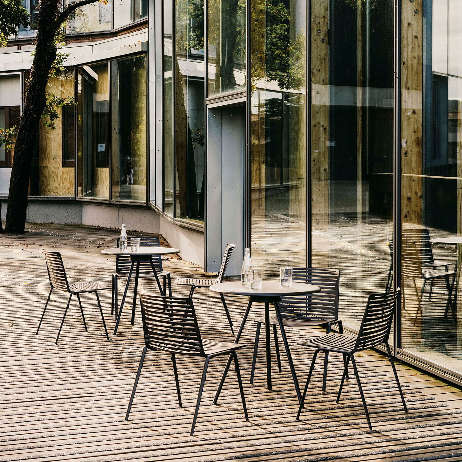 Zebra matstol Pearly Gold