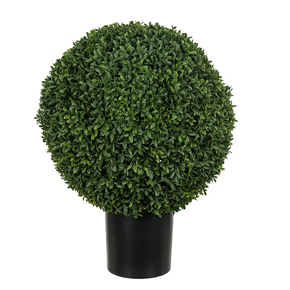 Mr Plant Buxbom i kruka 40 cm